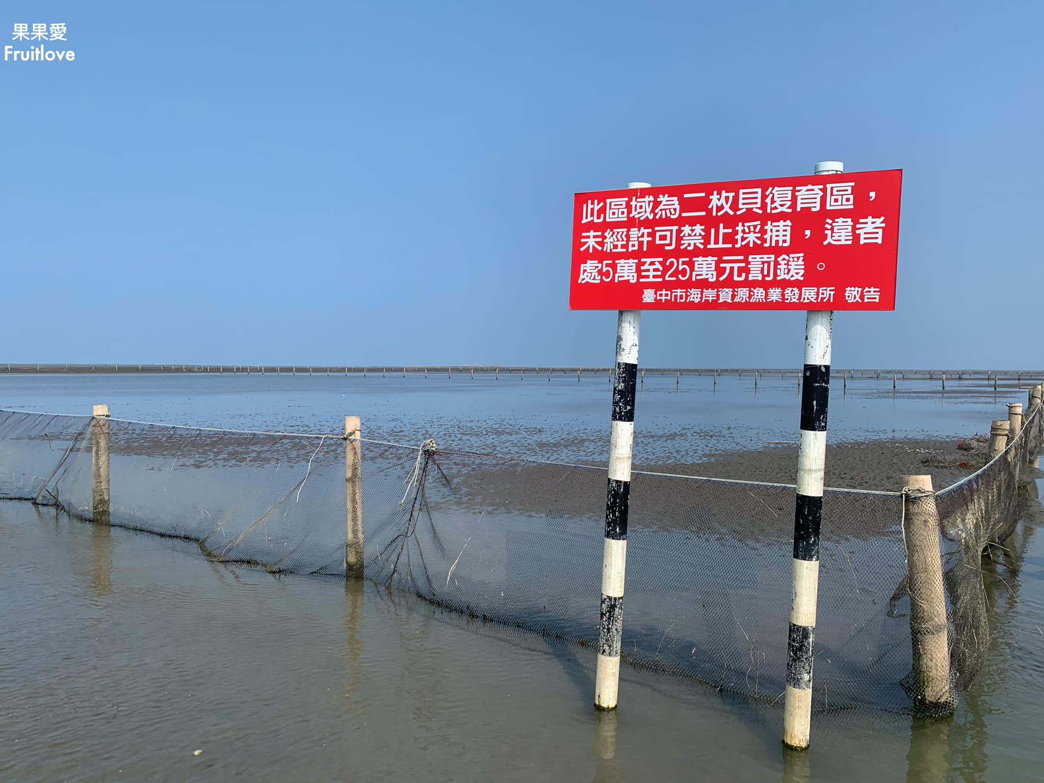 台中景點-高美濕地⟩悠閒享受絕美夕陽、生態豐富、吹風放空、親子同遊的好地方 @果果愛Fruitlove