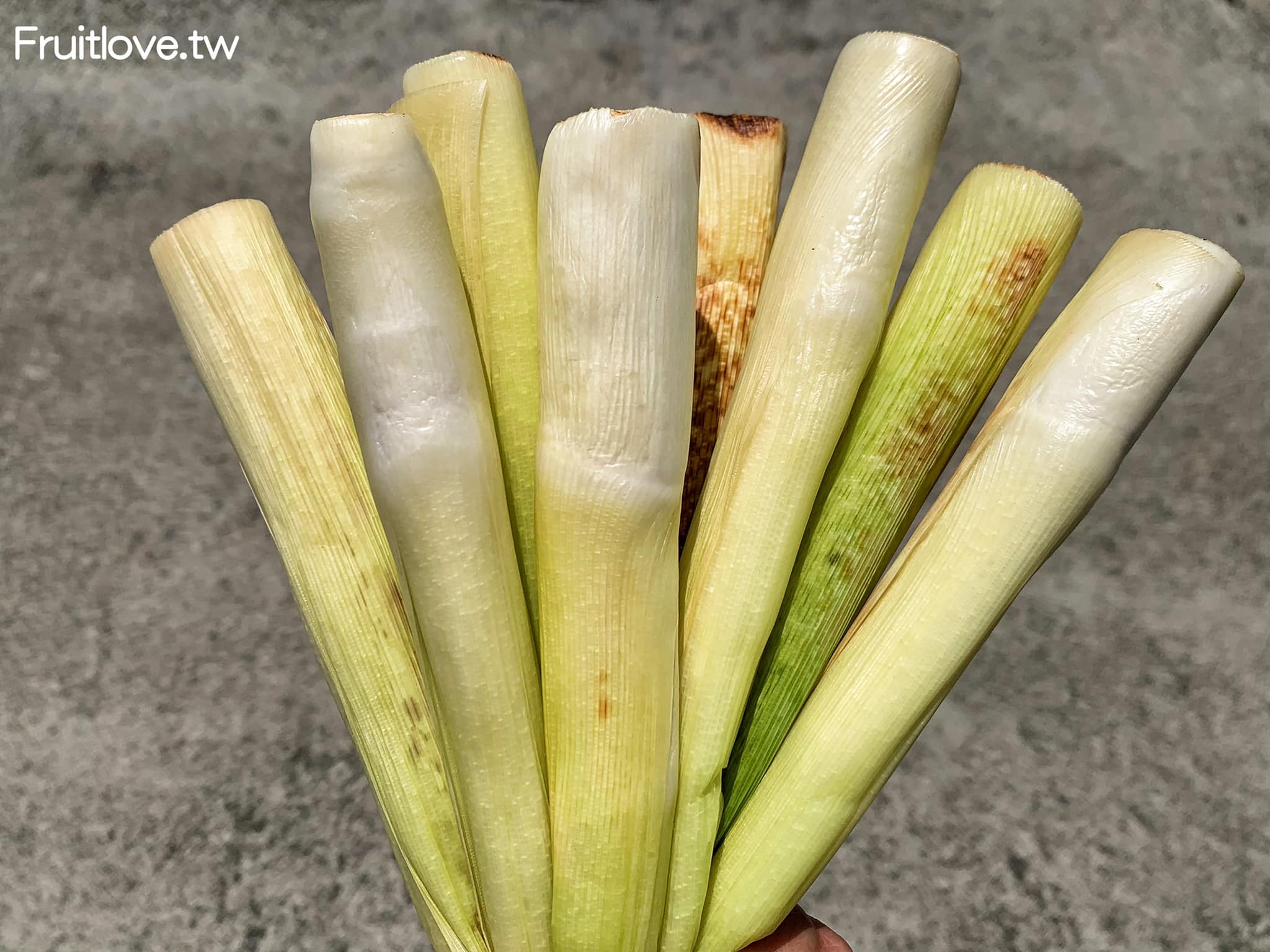 東坡肉粽⟩台中太平美食，在地飄香三十年的古早味肉粽，配上一碗鮮肉湯圓，真是大大的滿足 @果果愛Fruitlove