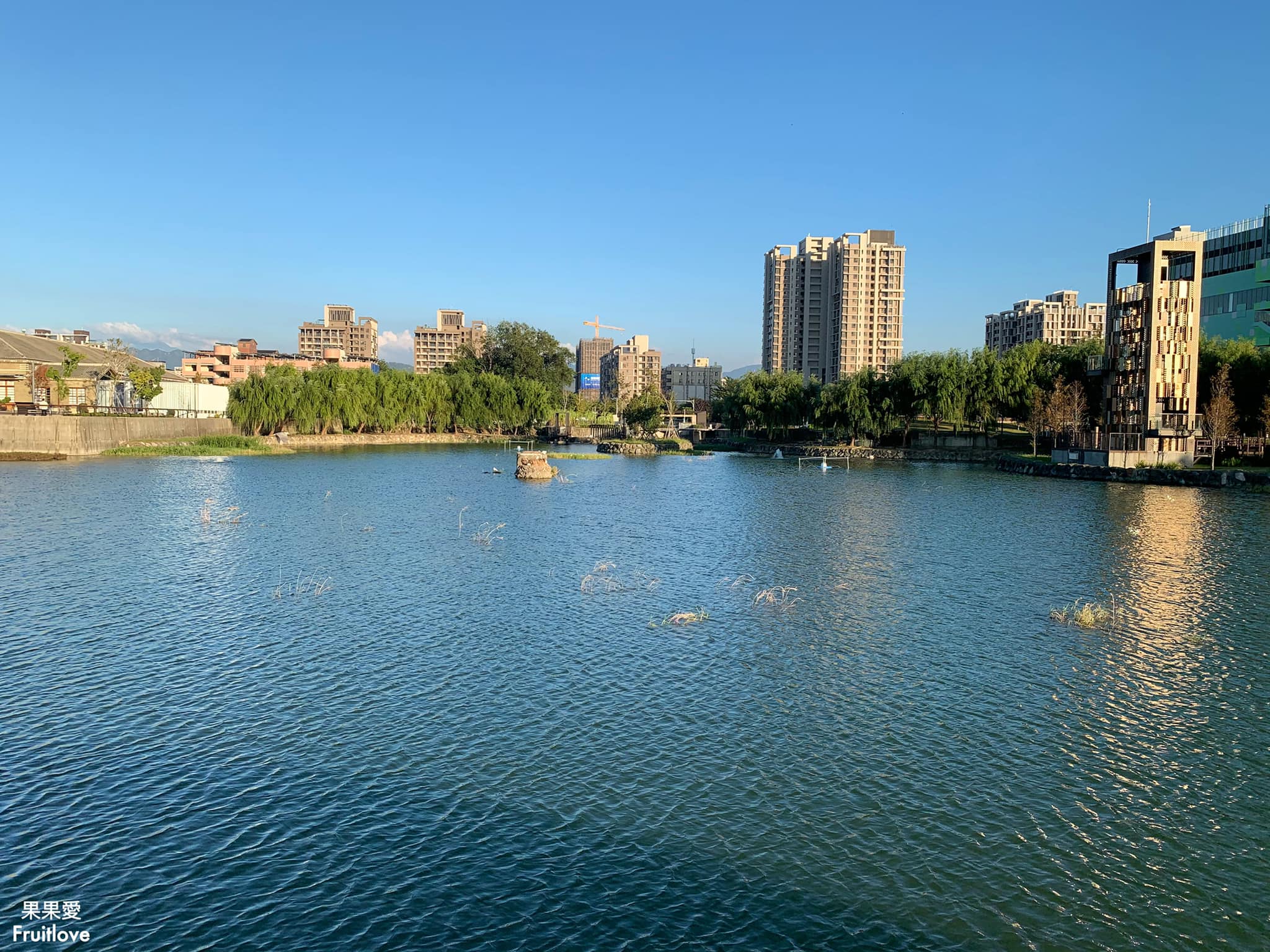 台中景點-湧泉公園 (台糖湖濱生態園區)⟩悠閒地漫步在舊糖廠，探索生態、享受微風、自由騎乘或是湖畔發呆-免費景點 @果果愛Fruitlove