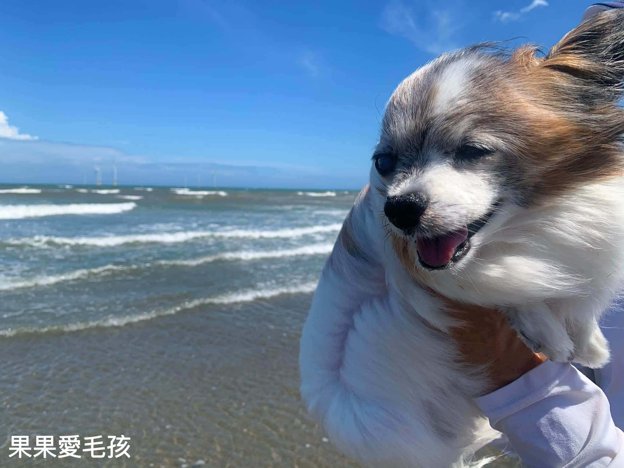 苗栗竹南景點-濱海森林遊憩區 假日之森，免費景點，玩水、衝浪、風箏、夕陽，讓人眷戀的好地方 @果果愛Fruitlove