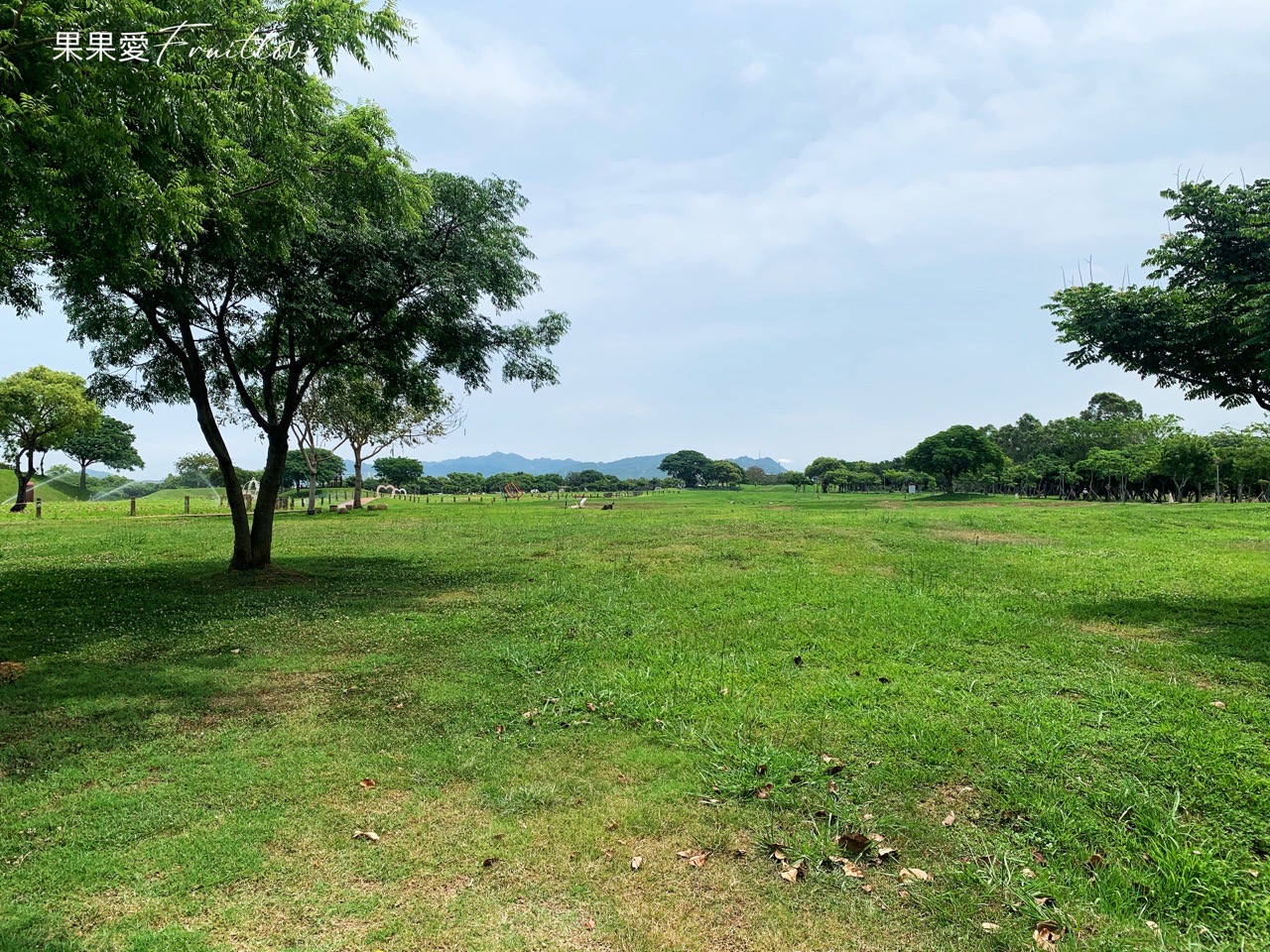 台中景點⟩后里環保公園擁有大面積的草皮空間，非常適合小孩和毛孩放電-寵物友善景點 @果果愛Fruitlove