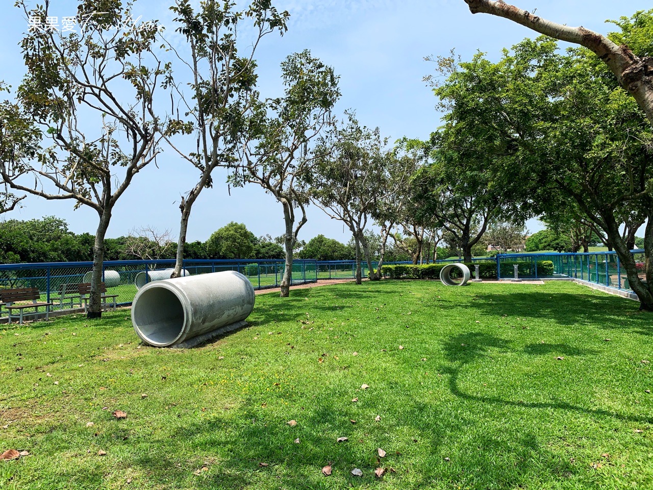 台中景點⟩后里環保公園擁有大面積的草皮空間，非常適合小孩和毛孩放電-寵物友善景點 @果果愛Fruitlove