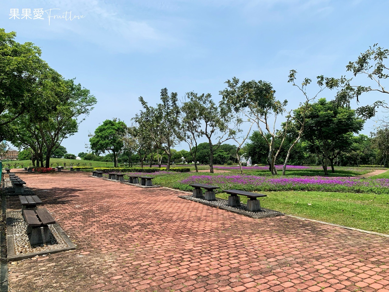 台中景點⟩后里環保公園擁有大面積的草皮空間，非常適合小孩和毛孩放電-寵物友善景點 @果果愛Fruitlove