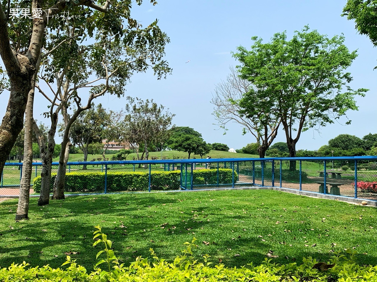 台中景點⟩后里環保公園擁有大面積的草皮空間，非常適合小孩和毛孩放電-寵物友善景點 @果果愛Fruitlove