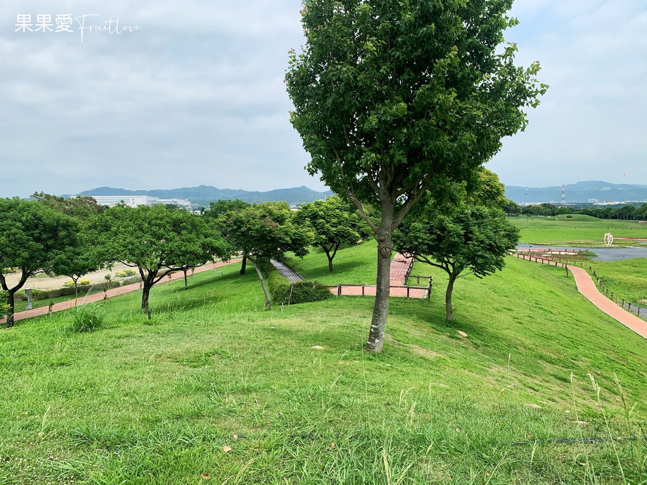 台中景點⟩后里環保公園擁有大面積的草皮空間，非常適合小孩和毛孩放電-寵物友善景點 @果果愛Fruitlove