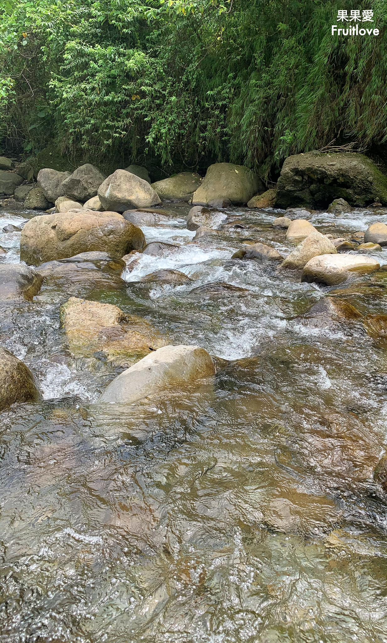 北埔冷泉⟩夏天玩水泡腳消暑，感受磅礡的水簾式瀑布-新竹北埔景點/寵物友善景點 @果果愛Fruitlove