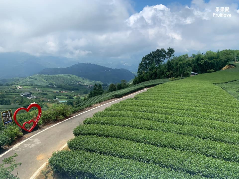 1314觀景台⟩嘉義梅山景點，漫步在茶園步道，感受360度視野零死角的茶園美景 @果果愛Fruitlove