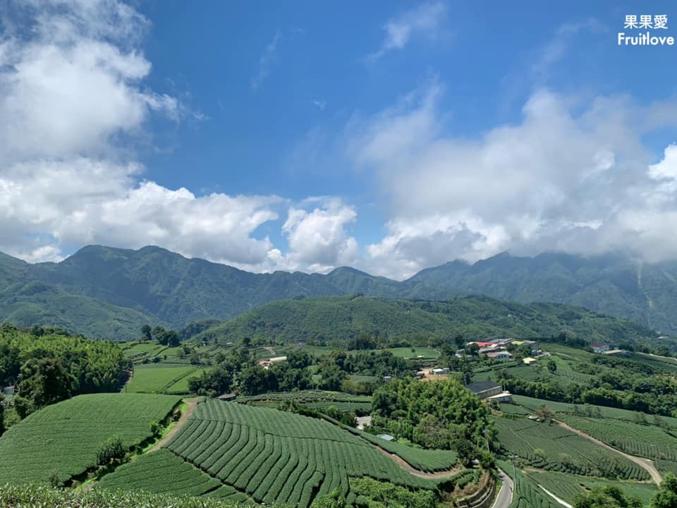 1314觀景台⟩嘉義梅山景點，漫步在茶園步道，感受360度視野零死角的茶園美景 @果果愛Fruitlove