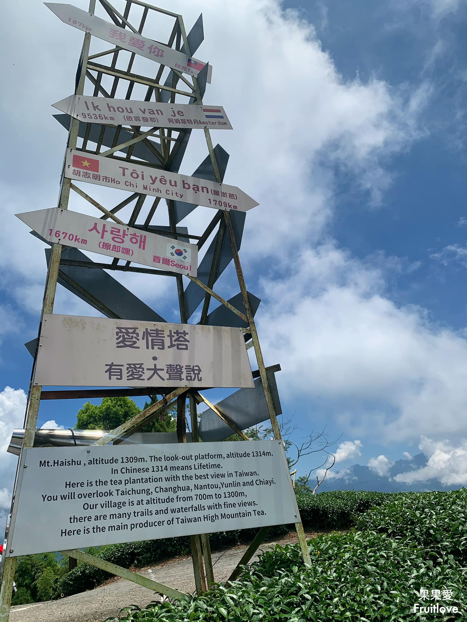 1314觀景台⟩嘉義梅山景點，漫步在茶園步道，感受360度視野零死角的茶園美景 @果果愛Fruitlove