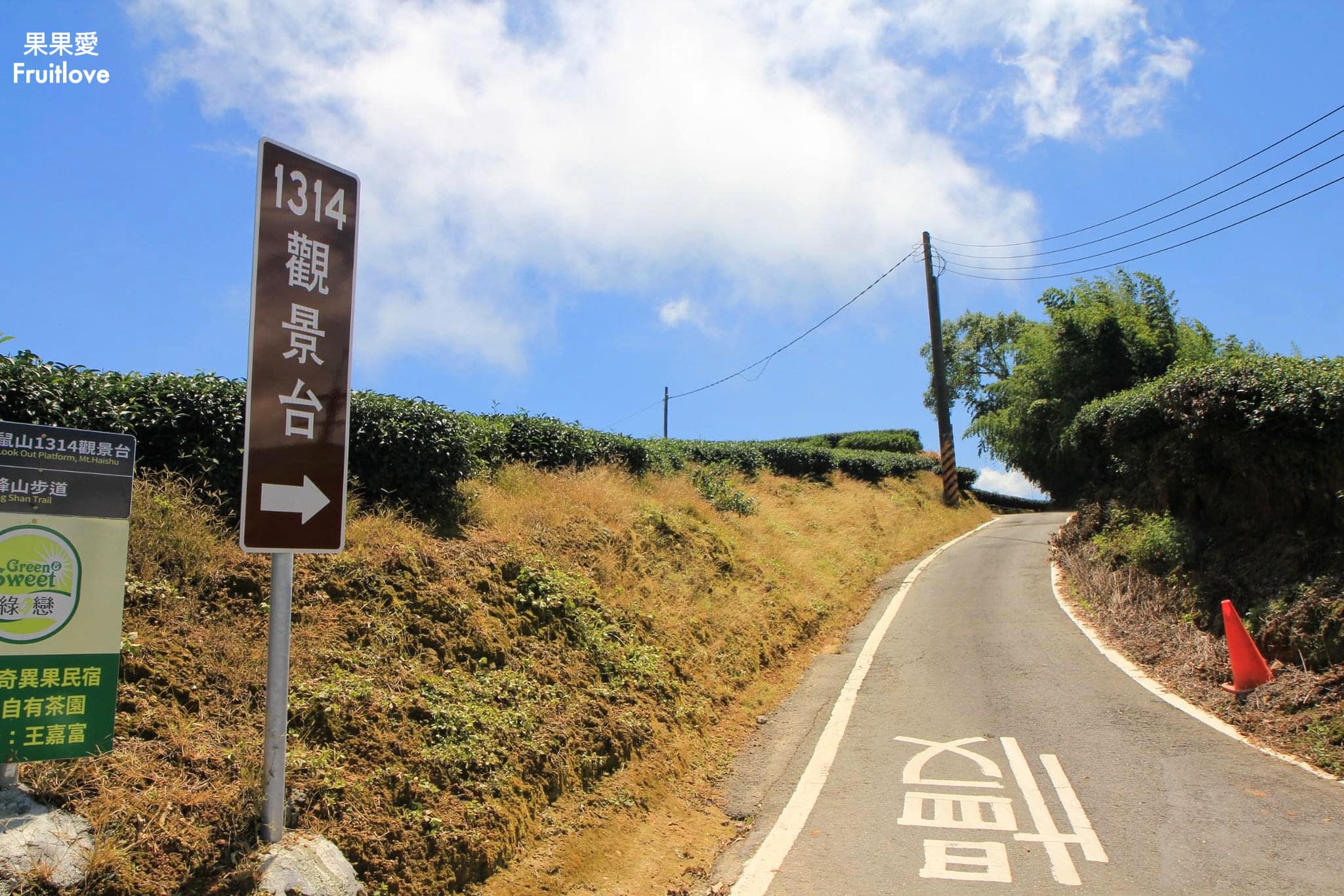 1314觀景台⟩嘉義梅山景點，漫步在茶園步道，感受360度視野零死角的茶園美景 @果果愛Fruitlove