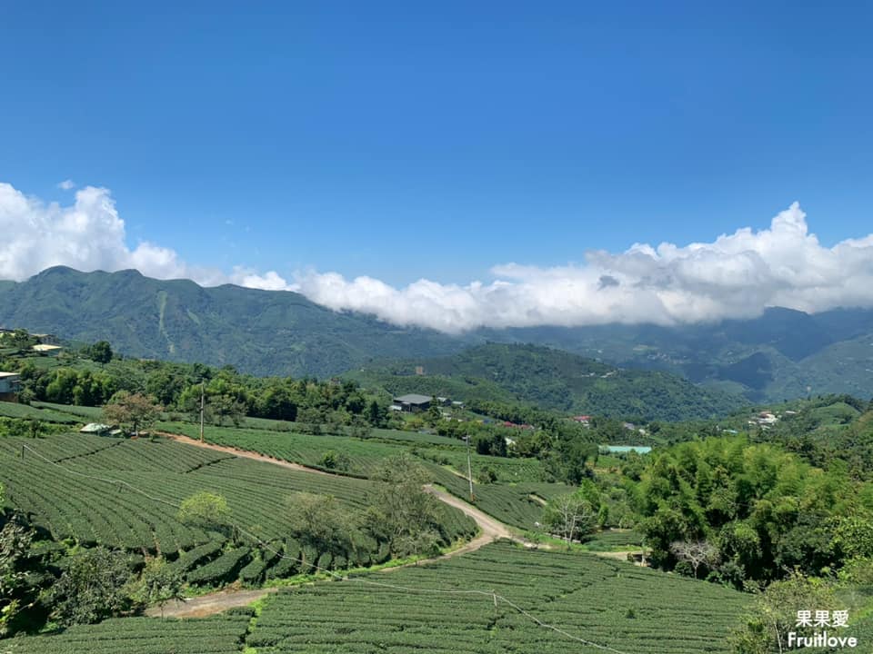 1314觀景台⟩嘉義梅山景點，漫步在茶園步道，感受360度視野零死角的茶園美景 @果果愛Fruitlove