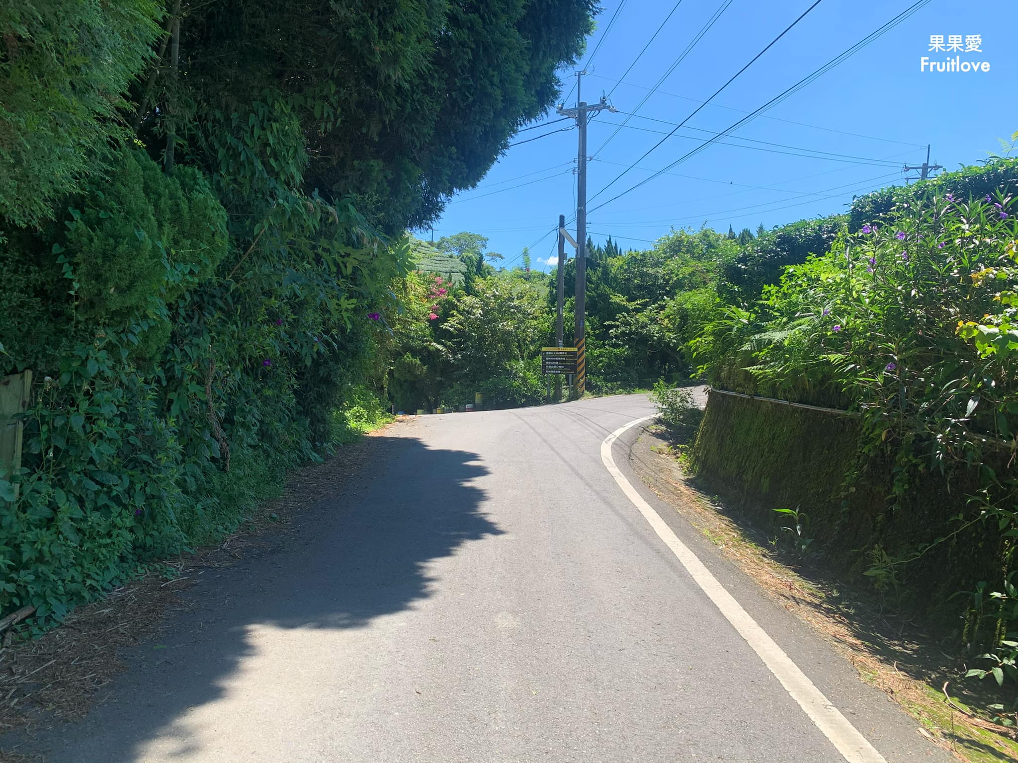 1314觀景台⟩嘉義梅山景點，漫步在茶園步道，感受360度視野零死角的茶園美景 @果果愛Fruitlove