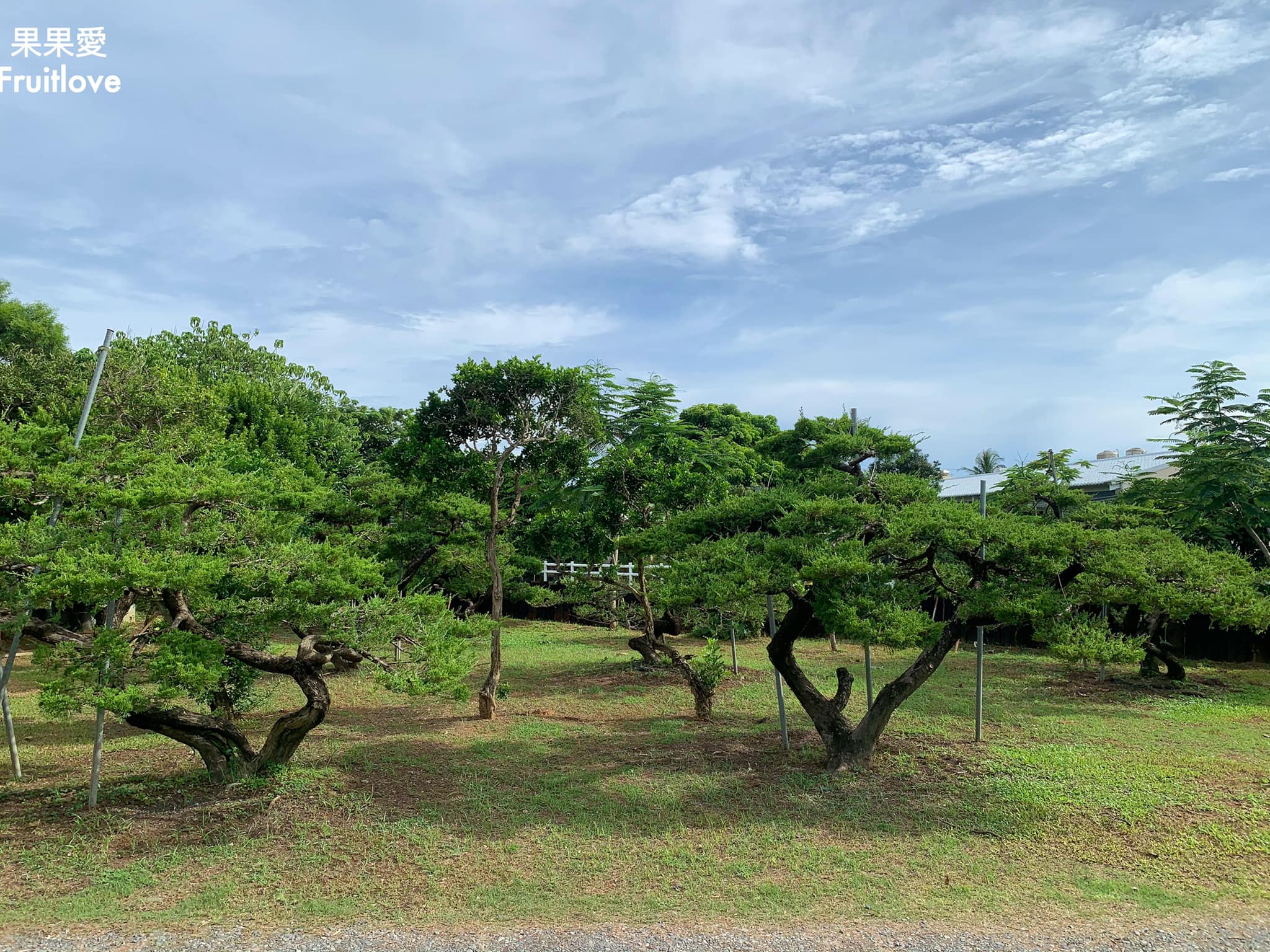 里夏民宿⟩簡約風格的建築，戶外庭園造景雅緻，屏東恆春寵物友善民宿 @果果愛Fruitlove