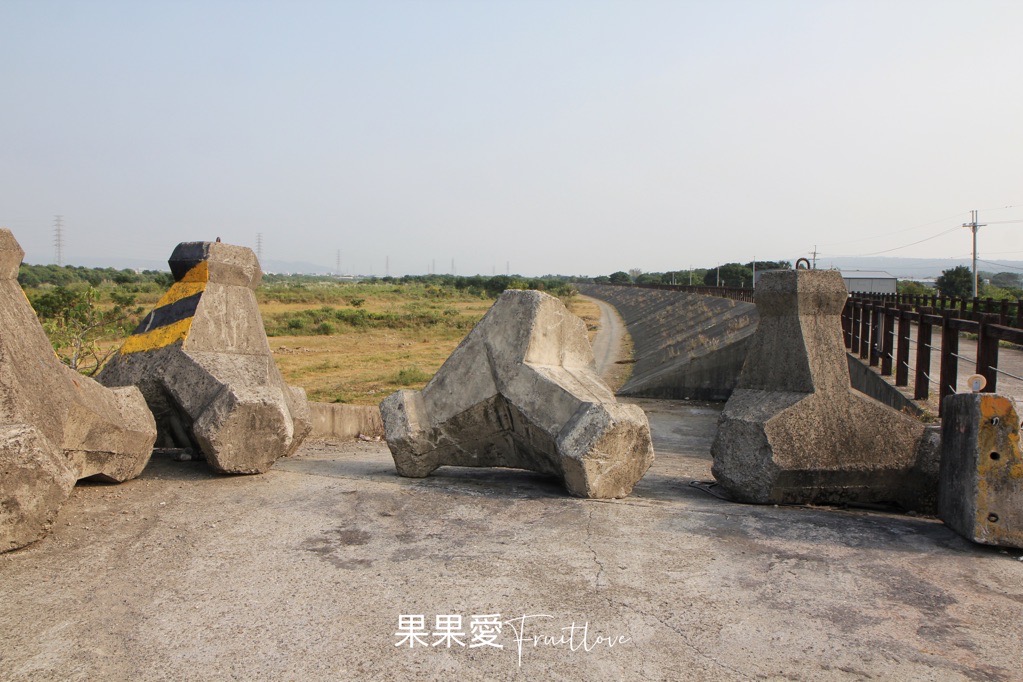 台中景點⟩台中烏日貓羅溪畔牛群，夕陽餘暉時，在堤防上愜意看著牛群返家 @果果愛Fruitlove