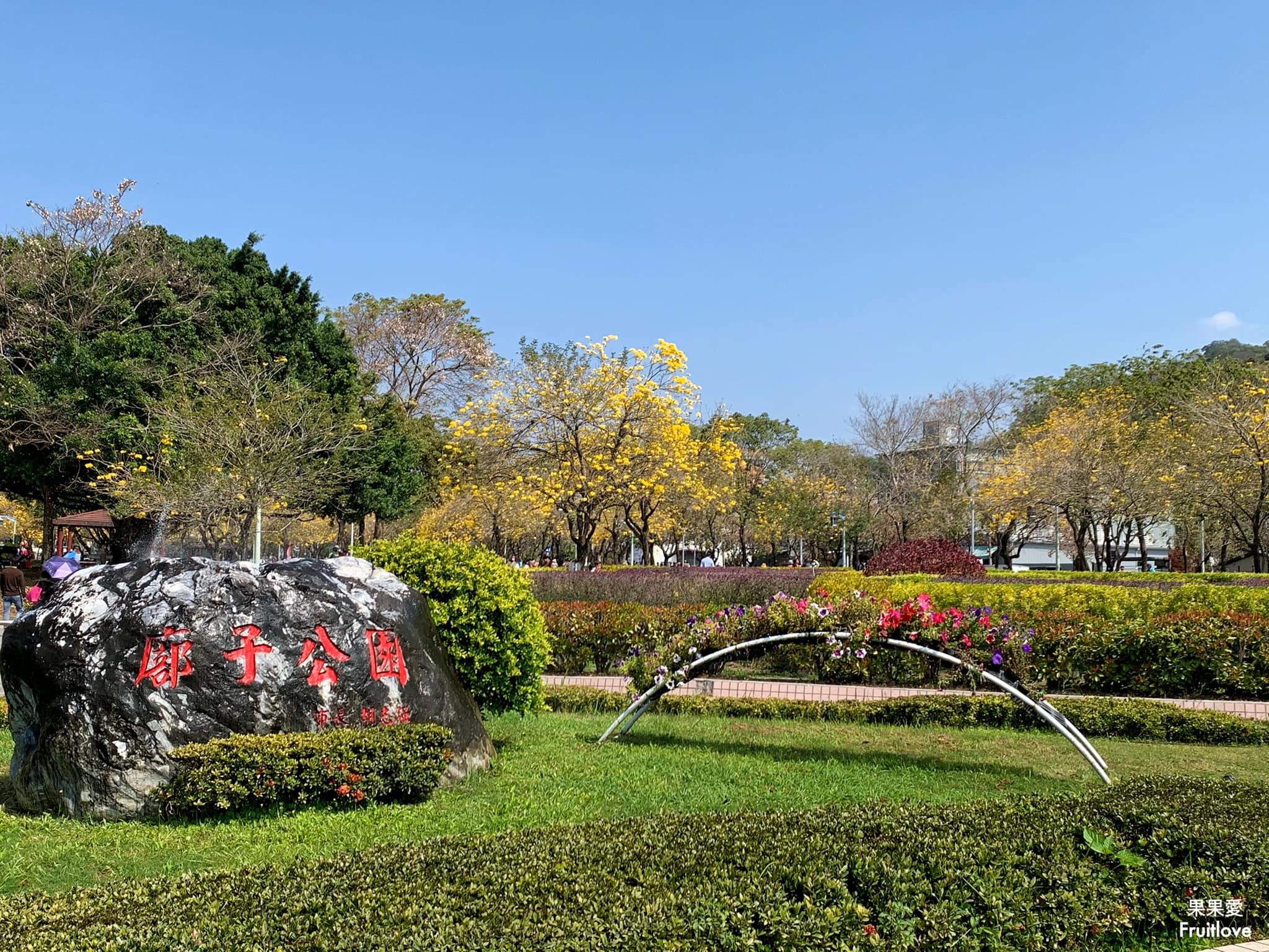 台中大坑景點-廍子公園⟩休閒假日來黃金公園，漫步欣賞黃花風鈴木花海和野餐-寵物友善景點 @果果愛Fruitlove