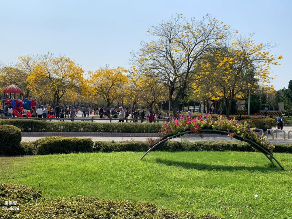 台中大坑景點-廍子公園⟩休閒假日來黃金公園，漫步欣賞黃花風鈴木花海和野餐-寵物友善景點 @果果愛Fruitlove