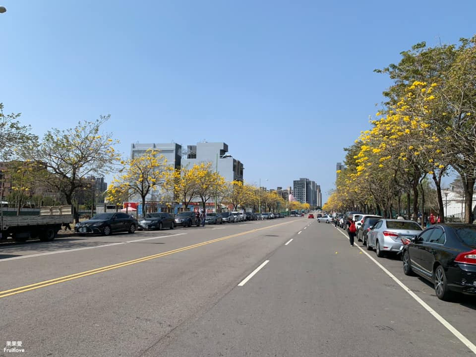 台中大坑景點-廍子公園⟩休閒假日來黃金公園，漫步欣賞黃花風鈴木花海和野餐-寵物友善景點 @果果愛Fruitlove