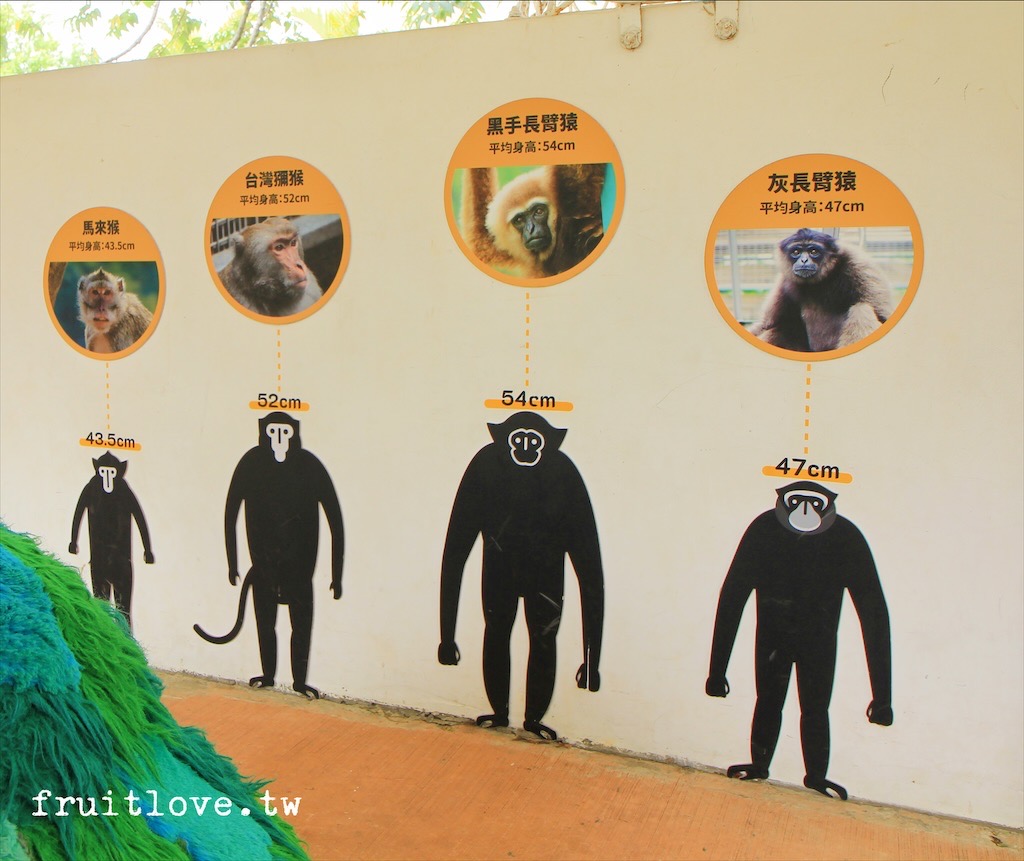 新竹市立動物園⟩原址現存最老的動物園，小而巧，小孩放電好地方-新竹東區親子景點 @果果愛Fruitlove