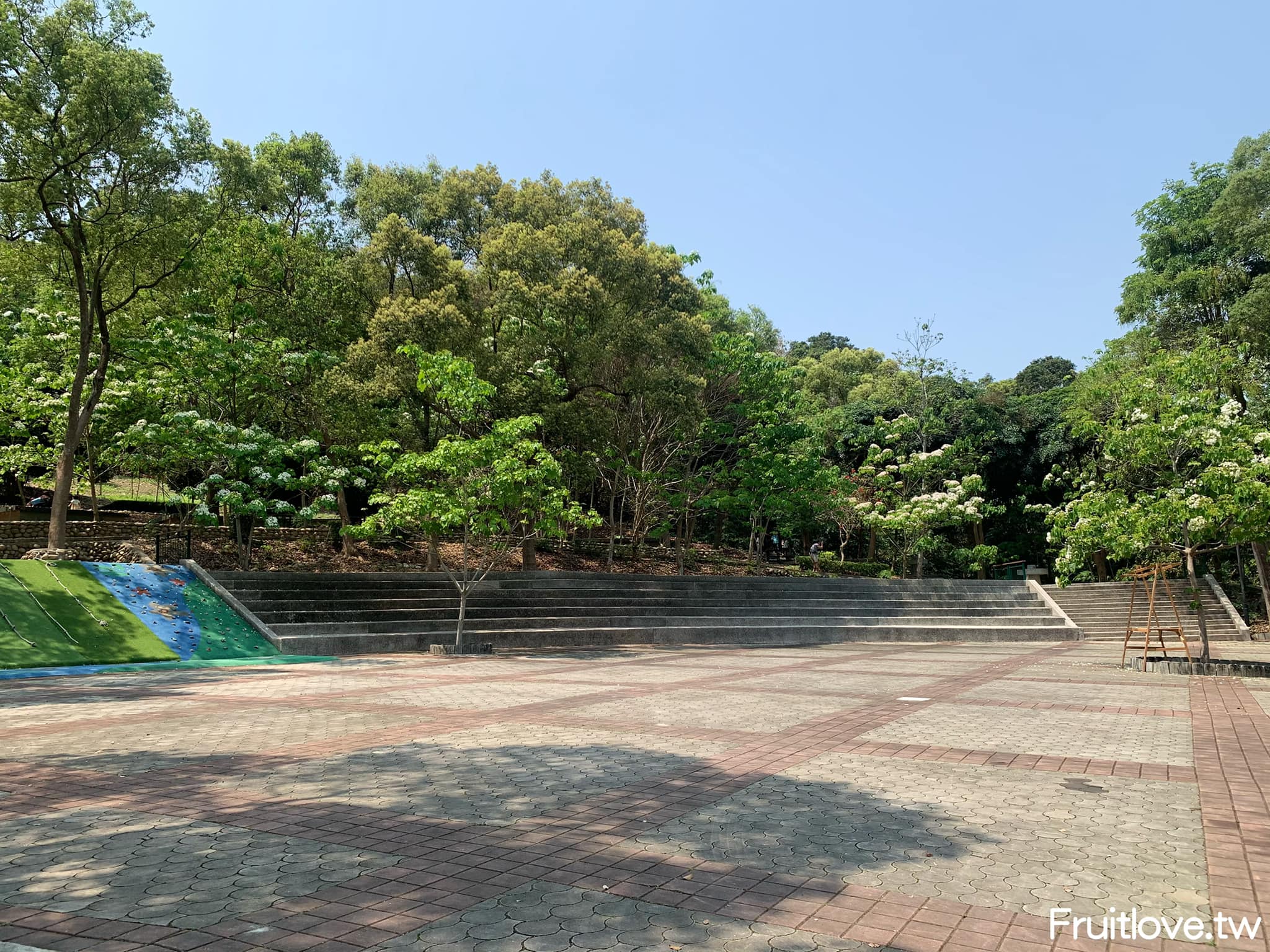 荷苞山桐花公園⟩雲林古坑景點/寵物友善，讓我們一起欣賞雪白的桐花雨和花毯，季節限定 @果果愛Fruitlove