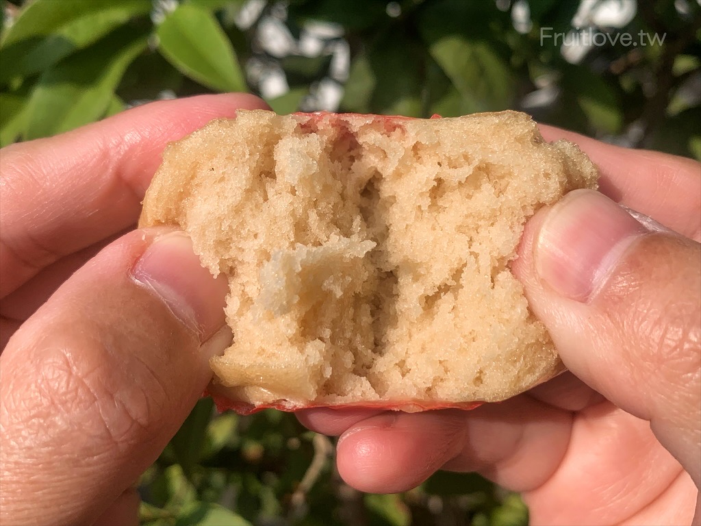 童食廚坊｜寶寶副食品推薦｜手工彩色寶寶水餃｜天然食品製作，沒有添加防腐劑，最健康最原味的寶寶副食品輕鬆上桌 @果果愛Fruitlove