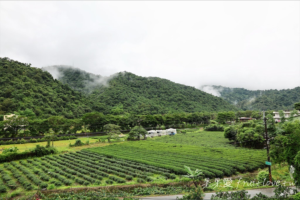 幸福柚子鄉村民宿(Pomelo B&#038;B)⟩宜蘭冬山民宿，鄉村風格的民宿，戶外有一片柚子果園和美麗的山巒茶園景色，還有豐盛的美味早餐-宜蘭民宿推薦 @果果愛Fruitlove