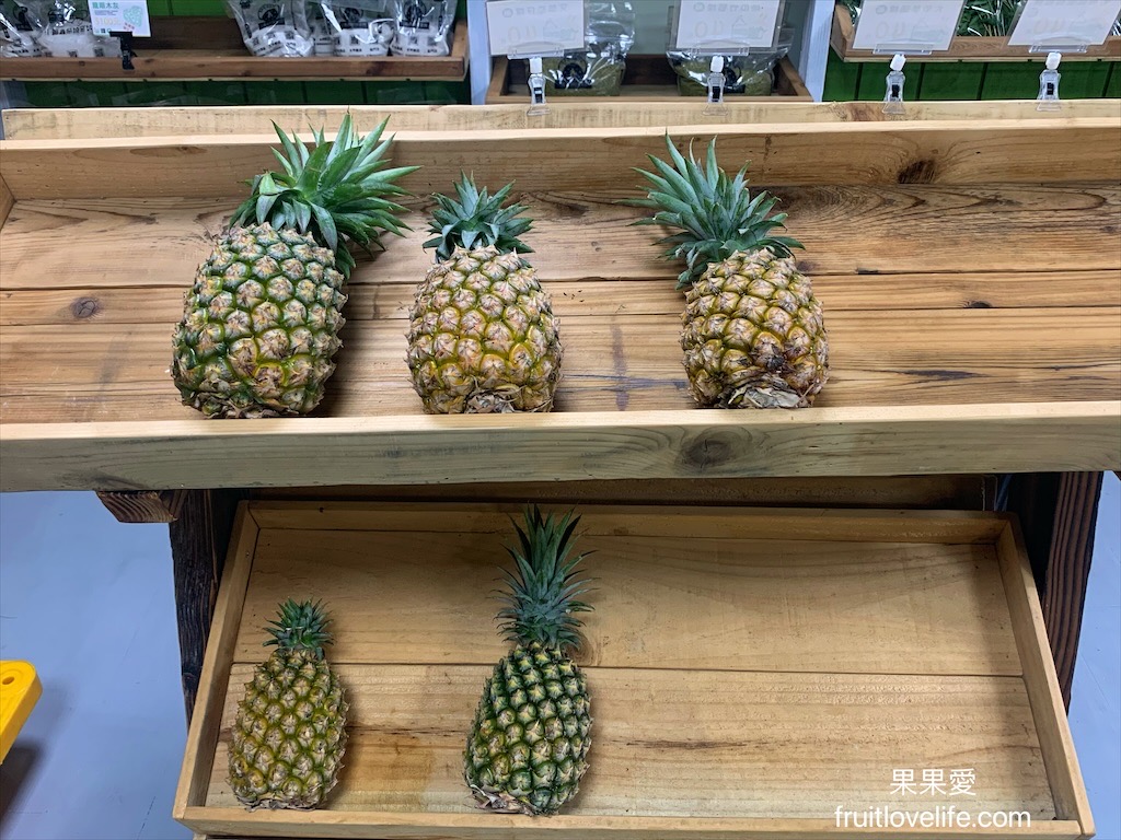 小瓢蟲柴燒窯烤-中科旗鑑店⟩台中中科新開一間親子DIY牛角麵包和傳統草仔粿的烘焙教室，另外還有賣窯烤麵包、有機蔬菜、蔬菜餐 @果果愛Fruitlove