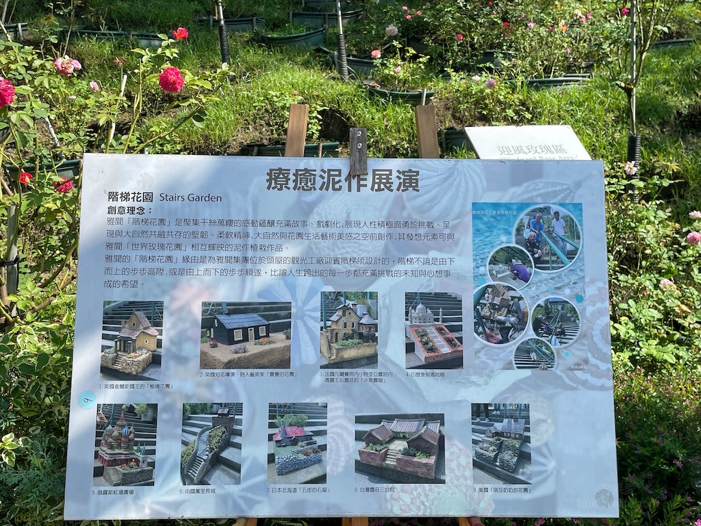 雅聞七里香玫瑰森林⟩苗栗頭屋免費景點，七里香玫瑰森林花園，一年四季都有不同的風情，走走步道呼吸芬多精，春秋兩季有玫瑰花海可欣賞 @果果愛Fruitlove