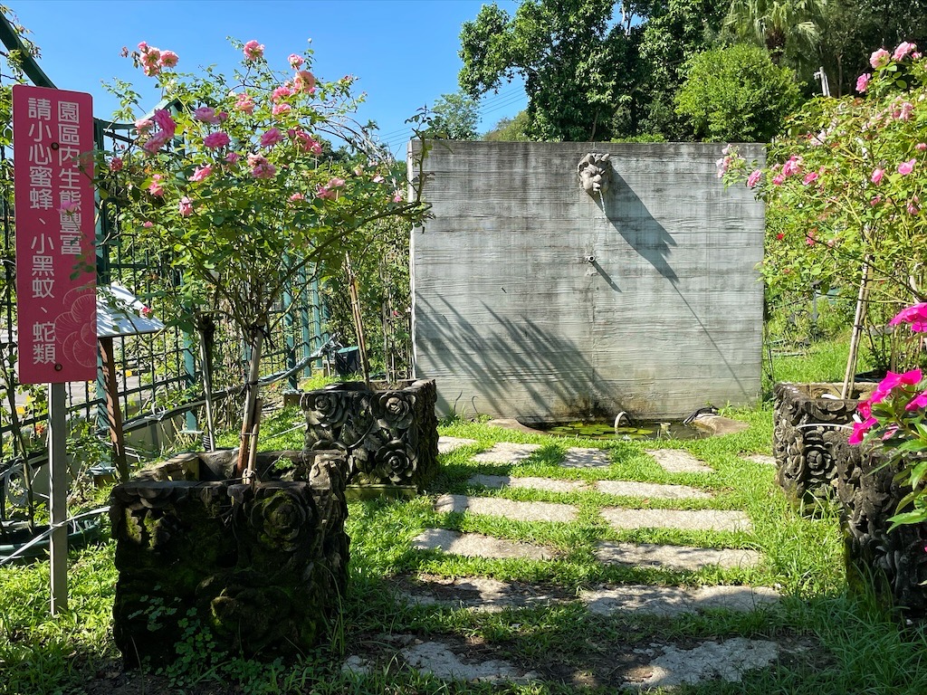 雅聞七里香玫瑰森林⟩苗栗頭屋免費景點，七里香玫瑰森林花園，一年四季都有不同的風情，走走步道呼吸芬多精，春秋兩季有玫瑰花海可欣賞 @果果愛Fruitlove