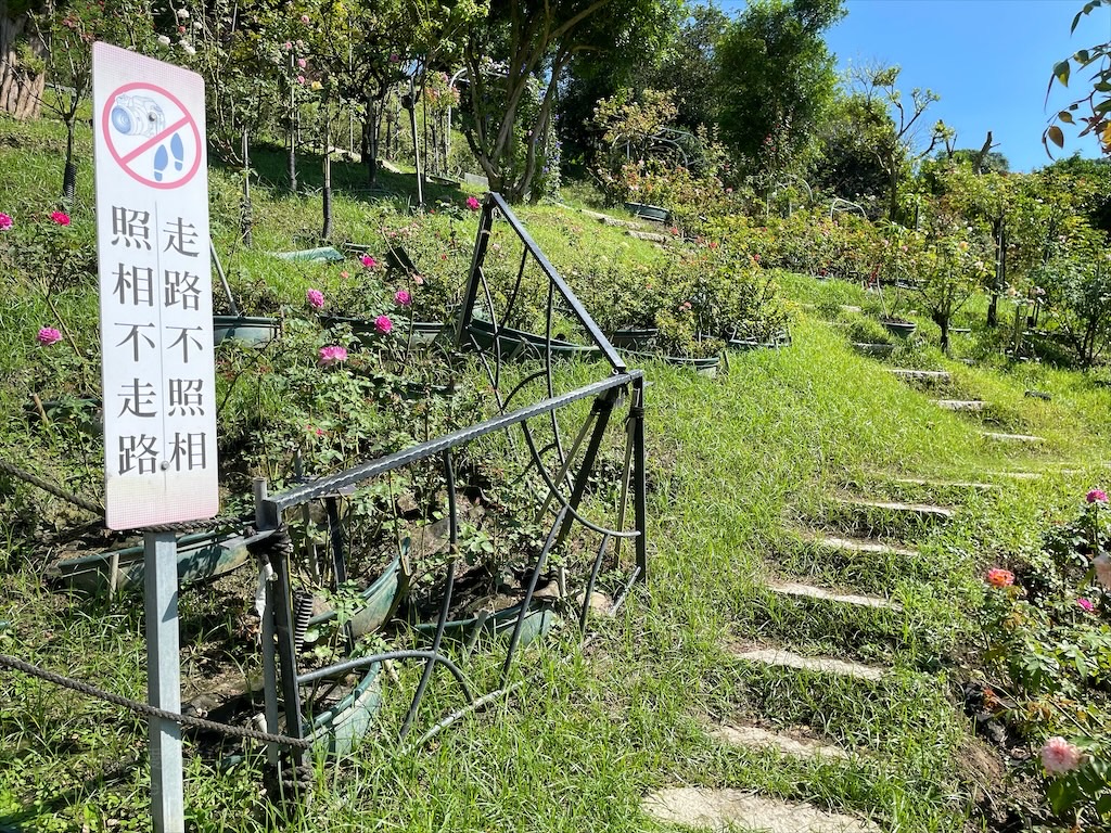 雅聞七里香玫瑰森林⟩苗栗頭屋免費景點，七里香玫瑰森林花園，一年四季都有不同的風情，走走步道呼吸芬多精，春秋兩季有玫瑰花海可欣賞 @果果愛Fruitlove