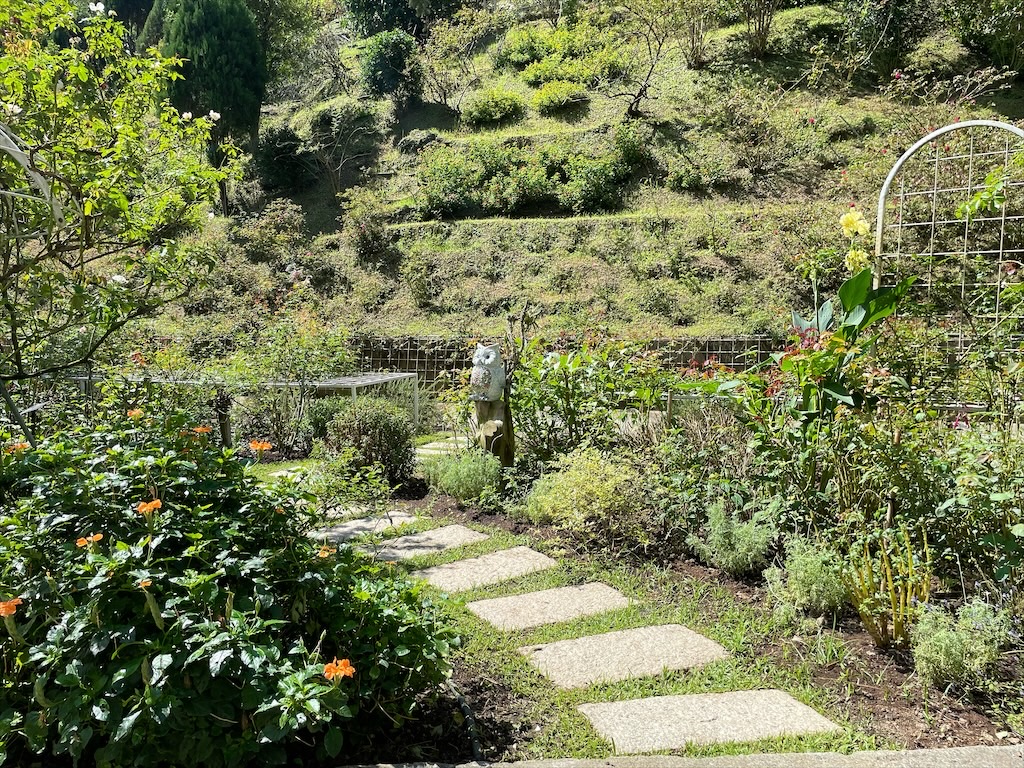 雅聞七里香玫瑰森林⟩苗栗頭屋免費景點，七里香玫瑰森林花園，一年四季都有不同的風情，走走步道呼吸芬多精，春秋兩季有玫瑰花海可欣賞 @果果愛Fruitlove