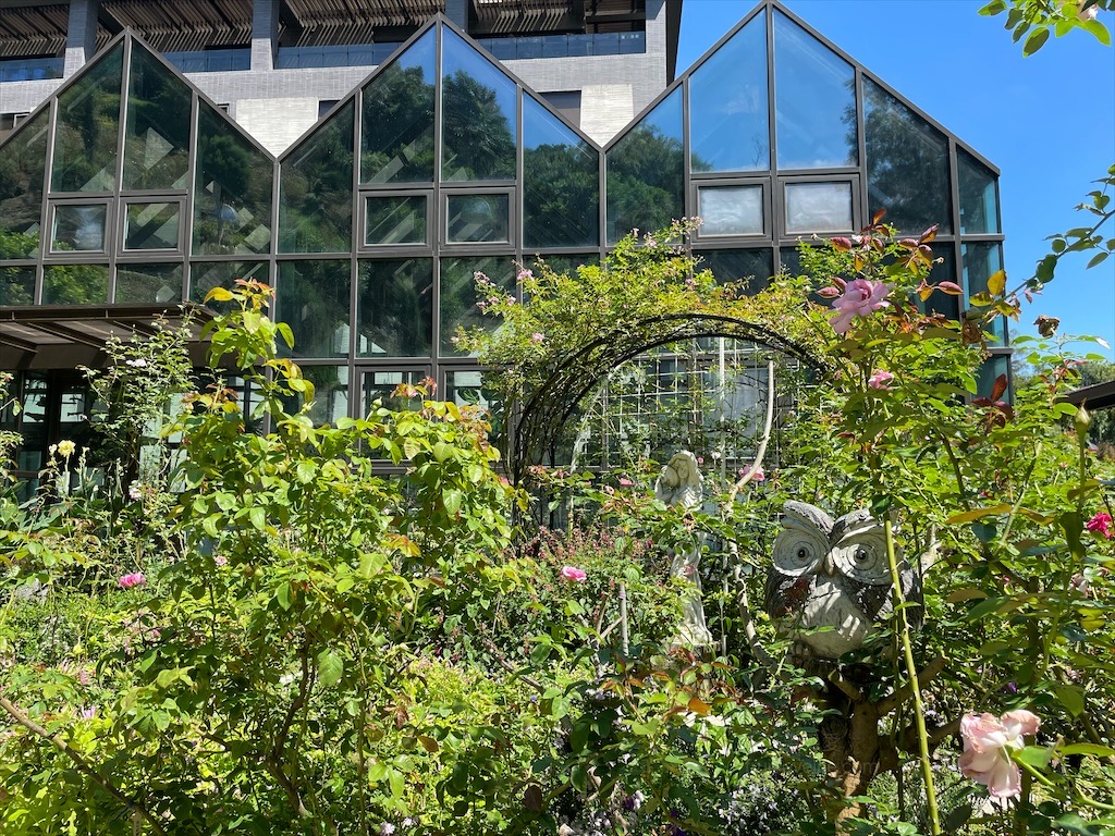 雅聞七里香玫瑰森林⟩苗栗頭屋免費景點，七里香玫瑰森林花園，一年四季都有不同的風情，走走步道呼吸芬多精，春秋兩季有玫瑰花海可欣賞 @果果愛Fruitlove