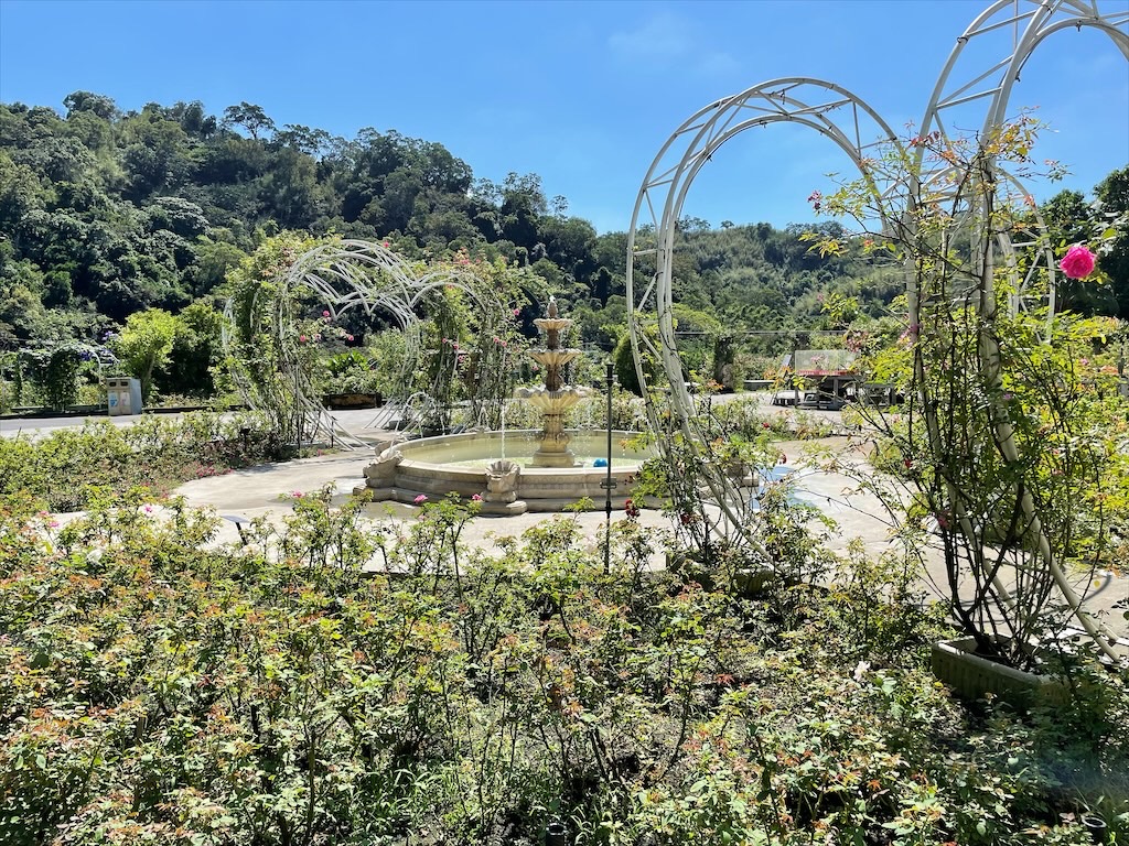 雅聞七里香玫瑰森林⟩苗栗頭屋免費景點，七里香玫瑰森林花園，一年四季都有不同的風情，走走步道呼吸芬多精，春秋兩季有玫瑰花海可欣賞 @果果愛Fruitlove