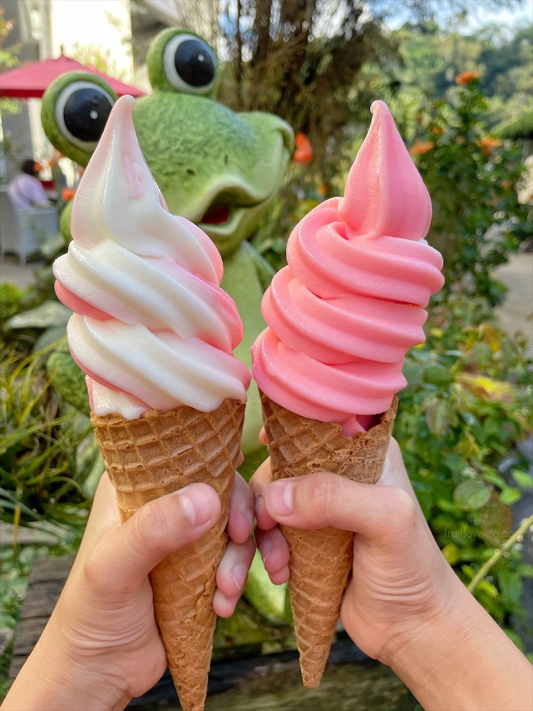 雅聞七里香玫瑰森林⟩苗栗頭屋免費景點，七里香玫瑰森林花園，一年四季都有不同的風情，走走步道呼吸芬多精，春秋兩季有玫瑰花海可欣賞 @果果愛Fruitlove