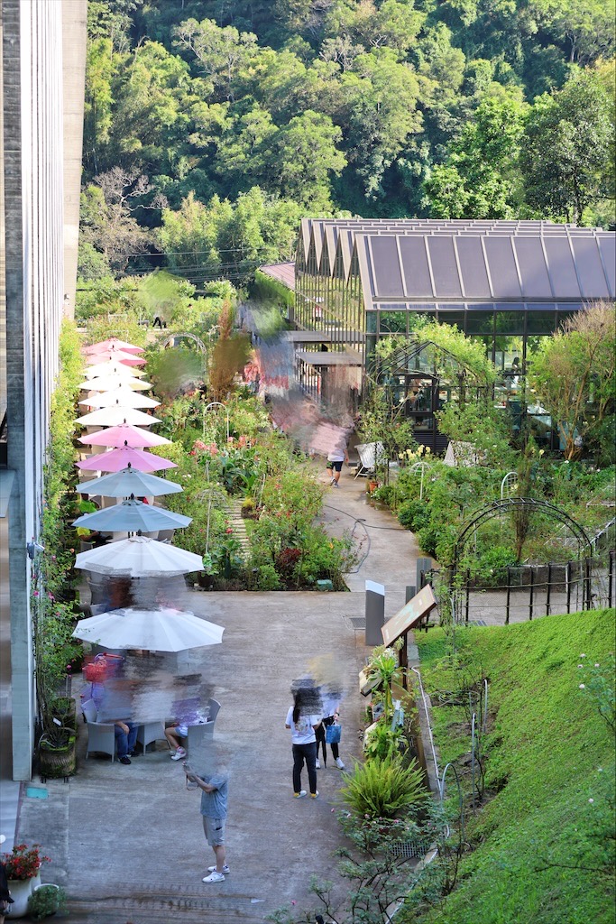 雅聞七里香玫瑰森林⟩苗栗頭屋免費景點，七里香玫瑰森林花園，一年四季都有不同的風情，走走步道呼吸芬多精，春秋兩季有玫瑰花海可欣賞 @果果愛Fruitlove