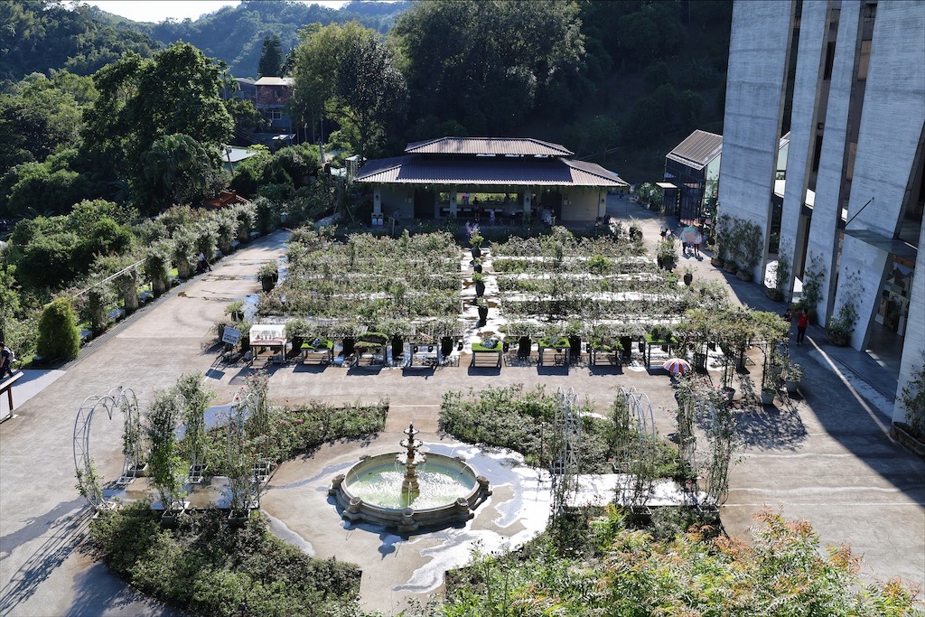 雅聞七里香玫瑰森林⟩苗栗頭屋免費景點，七里香玫瑰森林花園，一年四季都有不同的風情，走走步道呼吸芬多精，春秋兩季有玫瑰花海可欣賞 @果果愛Fruitlove