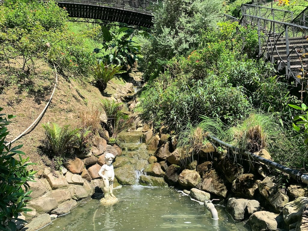 雅聞七里香玫瑰森林⟩苗栗頭屋免費景點，七里香玫瑰森林花園，一年四季都有不同的風情，走走步道呼吸芬多精，春秋兩季有玫瑰花海可欣賞 @果果愛Fruitlove