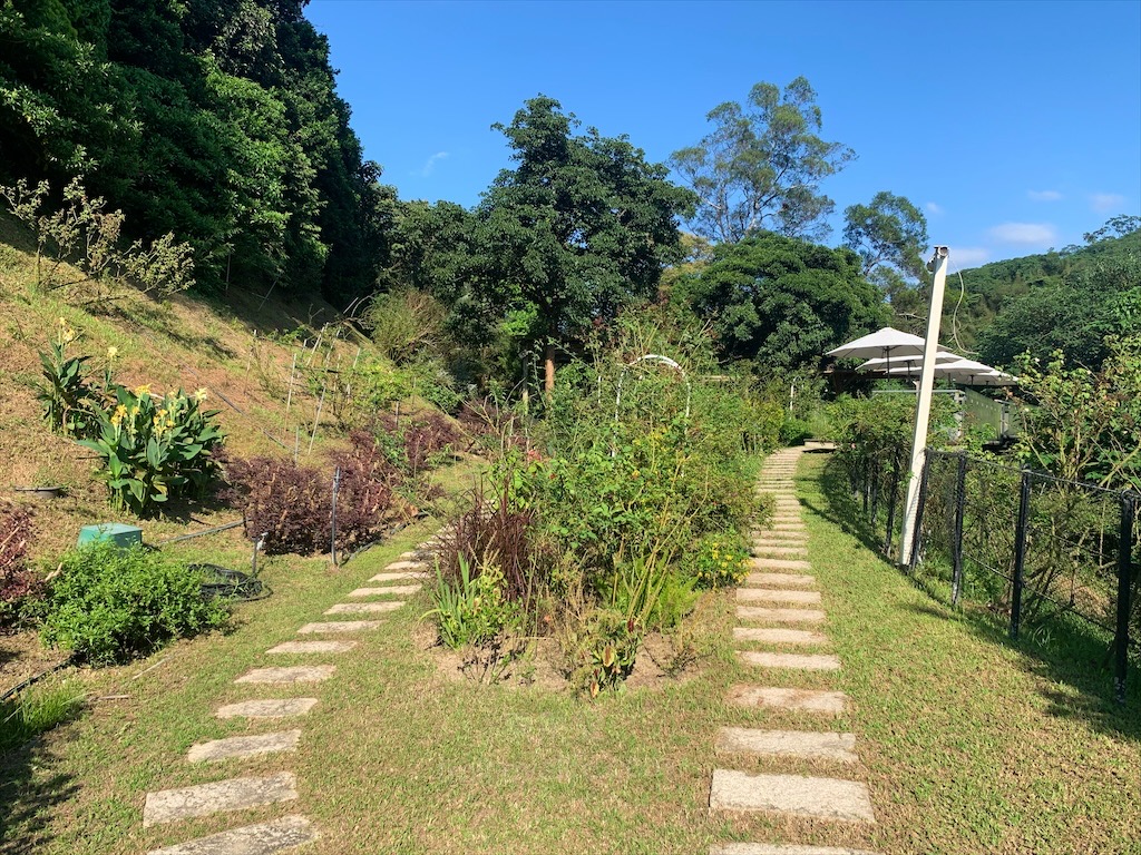 雅聞七里香玫瑰森林⟩苗栗頭屋免費景點，七里香玫瑰森林花園，一年四季都有不同的風情，走走步道呼吸芬多精，春秋兩季有玫瑰花海可欣賞 @果果愛Fruitlove