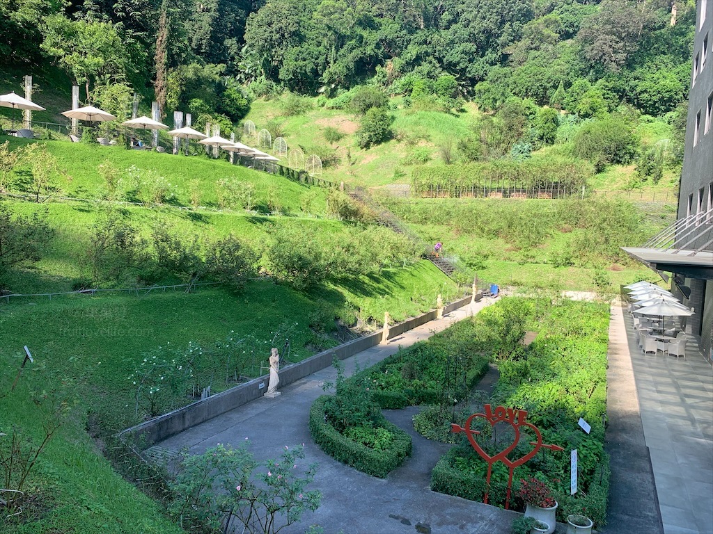 雅聞七里香玫瑰森林⟩苗栗頭屋免費景點，七里香玫瑰森林花園，一年四季都有不同的風情，走走步道呼吸芬多精，春秋兩季有玫瑰花海可欣賞 @果果愛Fruitlove