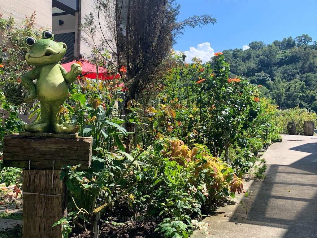 雅聞七里香玫瑰森林⟩苗栗頭屋免費景點，七里香玫瑰森林花園，一年四季都有不同的風情，走走步道呼吸芬多精，春秋兩季有玫瑰花海可欣賞 @果果愛Fruitlove