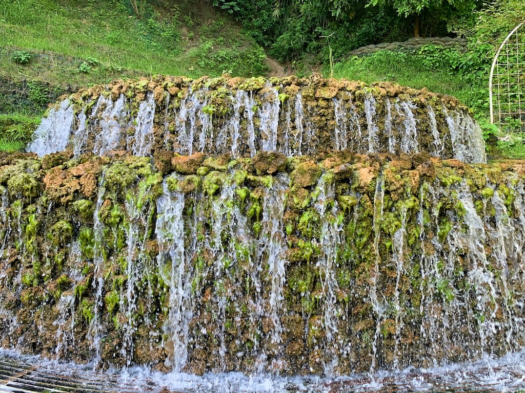 雅聞七里香玫瑰森林⟩苗栗頭屋免費景點，七里香玫瑰森林花園，一年四季都有不同的風情，走走步道呼吸芬多精，春秋兩季有玫瑰花海可欣賞 @果果愛Fruitlove