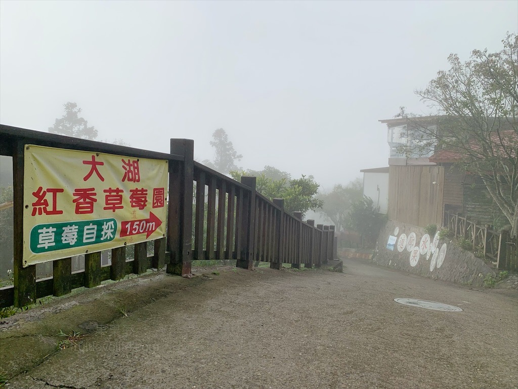 大湖紅香草莓園⟩苗栗大湖採草莓推薦，稀有紅花草莓香氣濃郁，高架草莓輕鬆採，無毒草莓安心吃/寵物友善 @果果愛Fruitlove