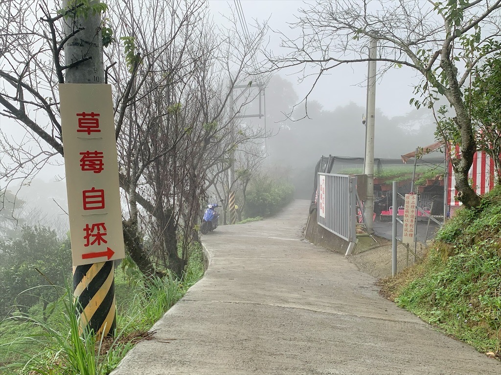 大湖紅香草莓園⟩苗栗大湖採草莓推薦，稀有紅花草莓香氣濃郁，高架草莓輕鬆採，無毒草莓安心吃/寵物友善 @果果愛Fruitlove