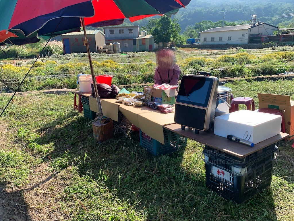 邱家古厝⟩苗栗銅鑼景點，季節限定的黃白紫杭菊花海，也是鐵道迷必追景點之一，火車、杭菊同時入鏡美不勝收 @果果愛Fruitlove