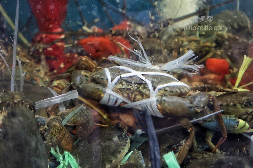 新魚港海鮮餐廳⟩苗栗苑裡寵物友善海鮮餐廳，很跳tone的海產店，除了現撈海鮮熱炒外，還有麻辣系列料理和德國豬腳/寵物友善餐廳 @果果愛Fruitlove