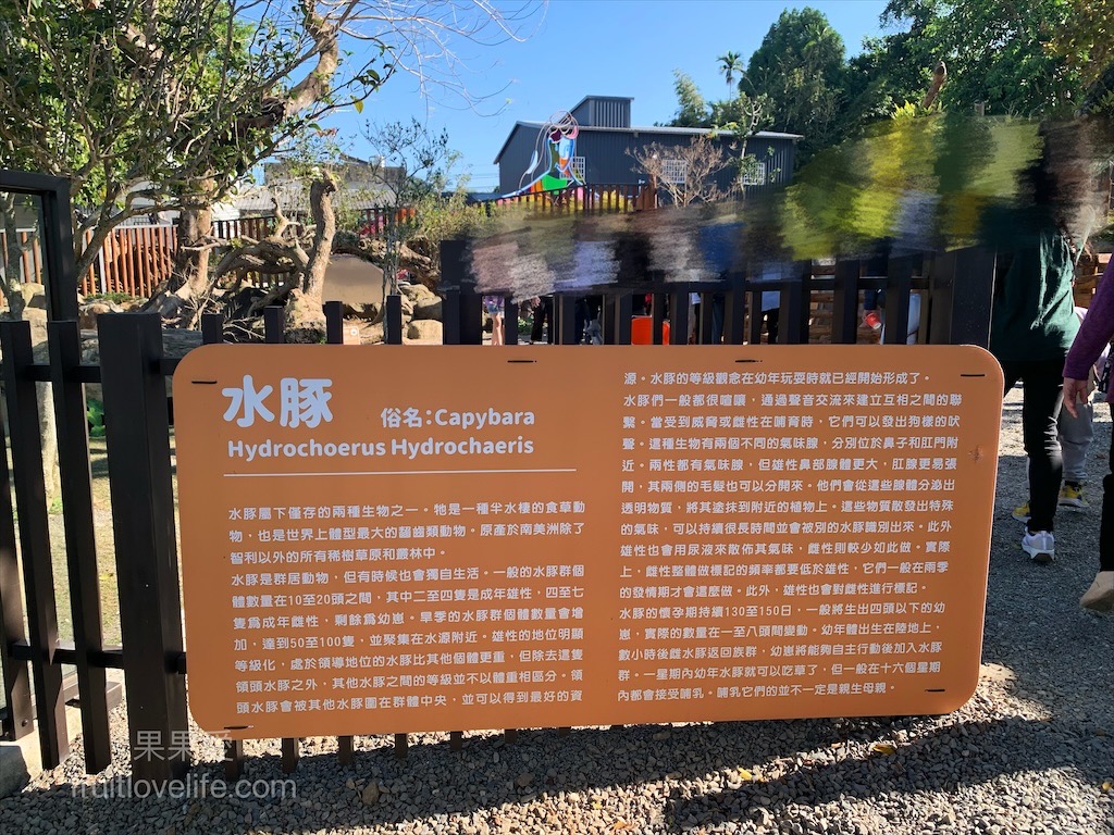 鹿芝谷生態景觀園區⟩南投鹿谷景點，許多超萌的可愛小動物，也有超人氣的水豚君(卡皮巴拉)，加上山巒景色讓人感到美不勝收 @果果愛Fruitlove