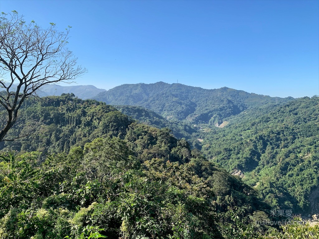 鹿芝谷生態景觀園區⟩南投鹿谷景點，許多超萌的可愛小動物，也有超人氣的水豚君(卡皮巴拉)，加上山巒景色讓人感到美不勝收 @果果愛Fruitlove