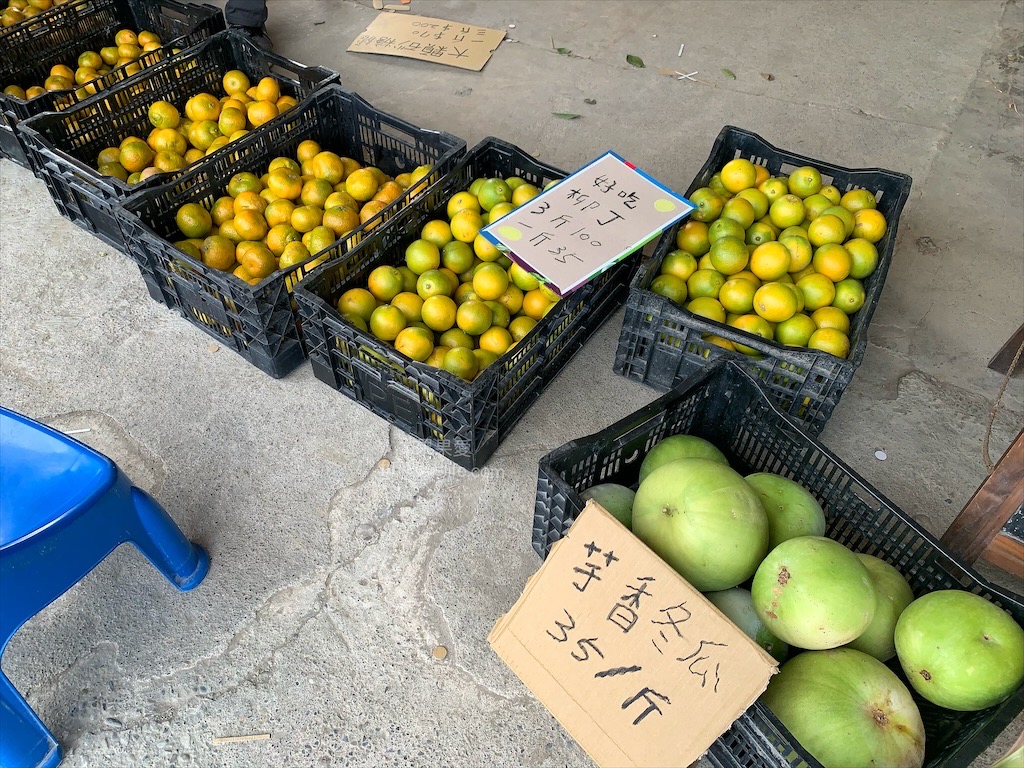 阿地草莓園⟩南投國姓採果景點，這次帶小孩來草莓園不是來採草莓，是來體驗採砂糖橘 @果果愛Fruitlove