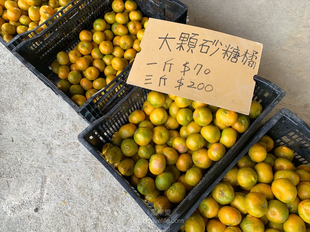 阿地草莓園⟩南投國姓採果景點，這次帶小孩來草莓園不是來採草莓，是來體驗採砂糖橘 @果果愛Fruitlove