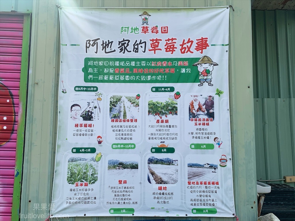 阿地草莓園⟩南投國姓採果景點，這次帶小孩來草莓園不是來採草莓，是來體驗採砂糖橘 @果果愛Fruitlove