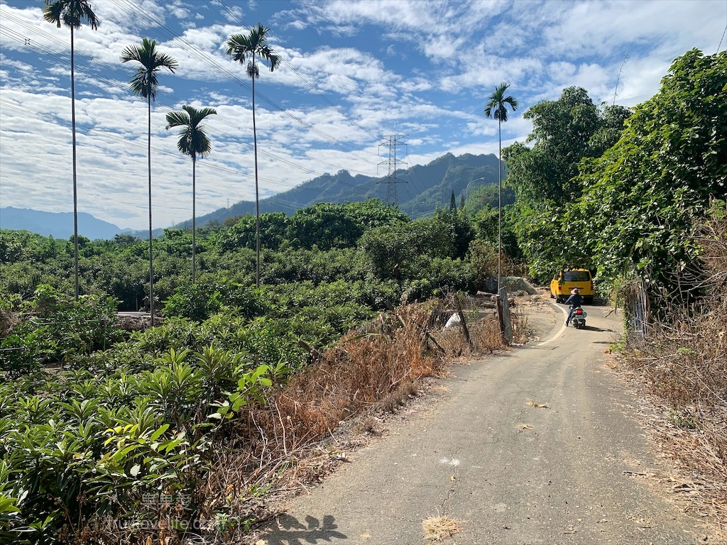 阿地草莓園⟩南投國姓採果景點，這次帶小孩來草莓園不是來採草莓，是來體驗採砂糖橘 @果果愛Fruitlove